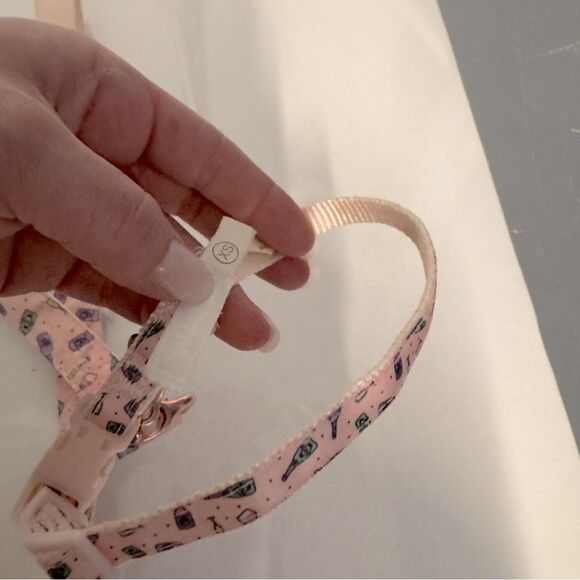 Top Paw Champagne Dog collar XS and Leash set 4 Ft - Picture 4 of 5